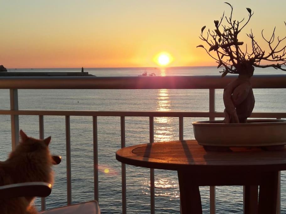 Apartament La Casa Del Port Jávea Zewnętrze zdjęcie