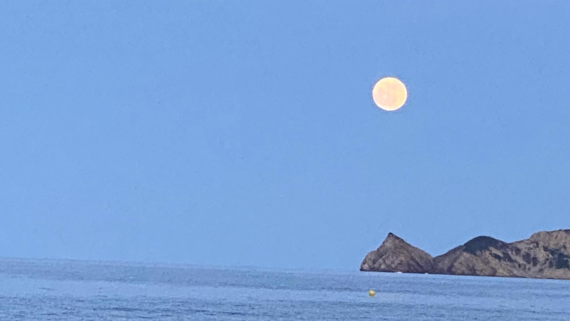 Apartament La Casa Del Port Jávea Zewnętrze zdjęcie