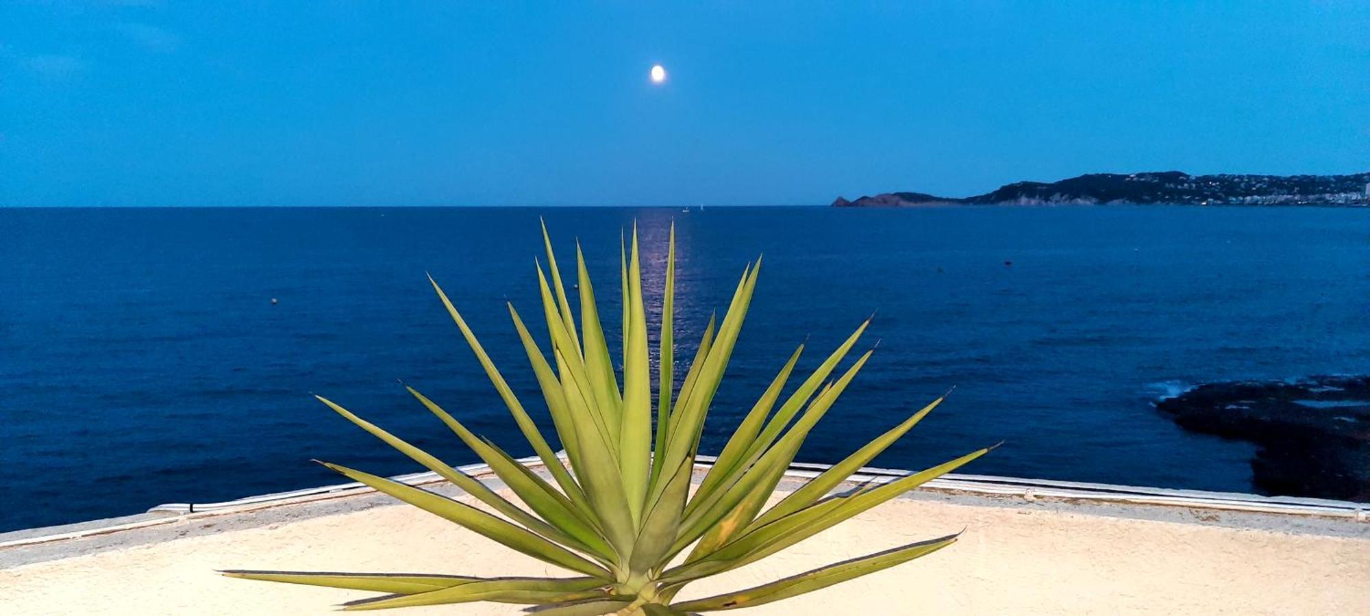 Apartament La Casa Del Port Jávea Zewnętrze zdjęcie